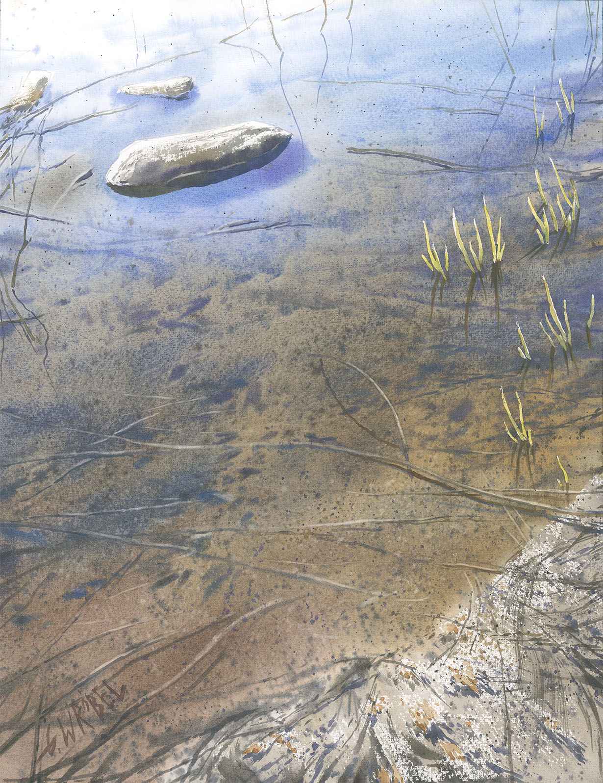 Refleksy w wodzie