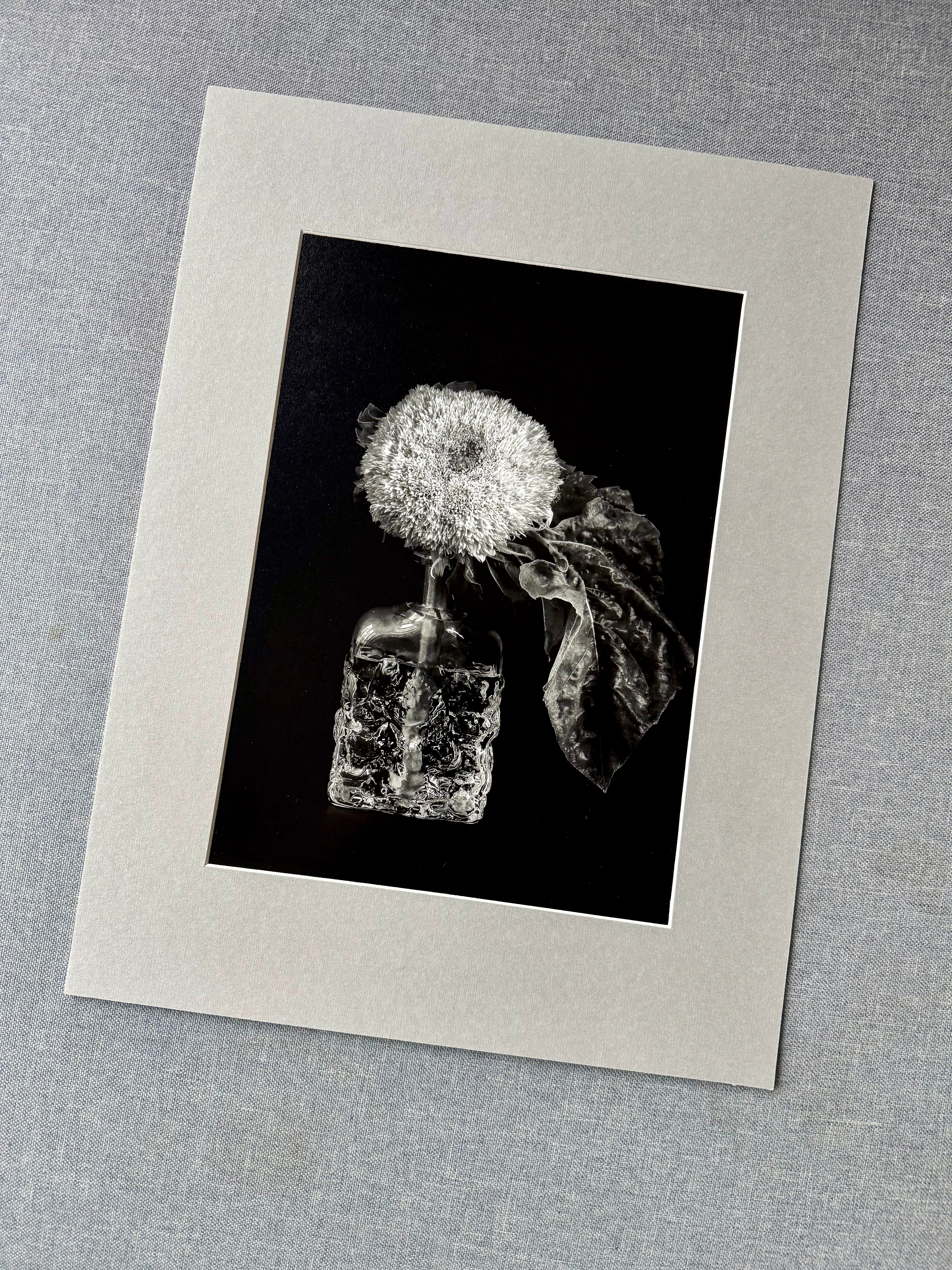 Słonecznik w wazonie biało-czarny