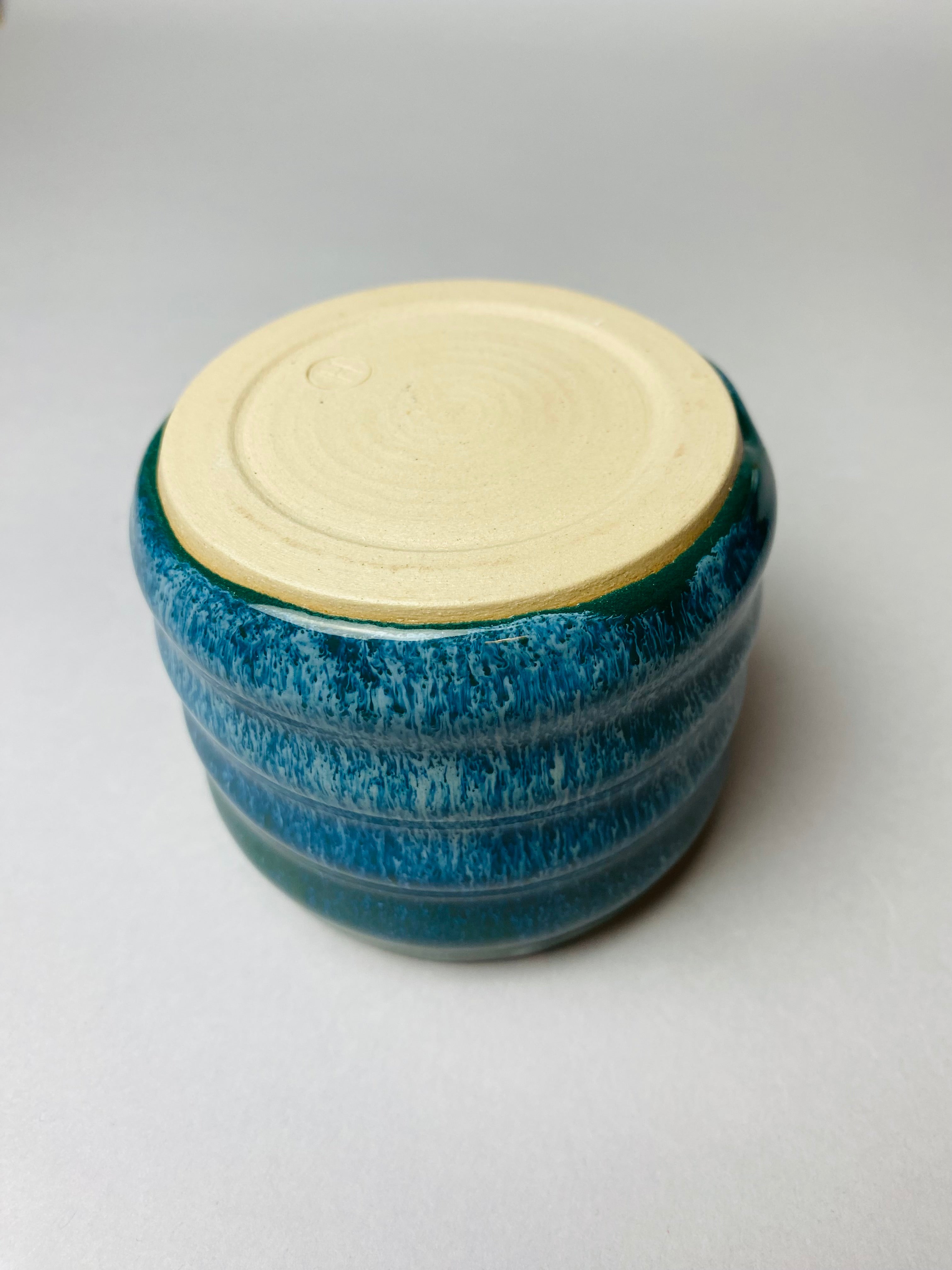 Czarka falowana letnie wakacje nr 2