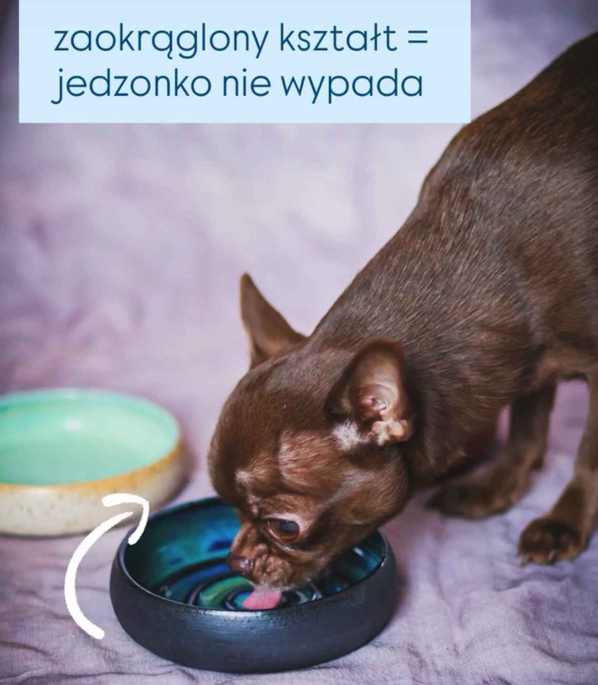 Stwórz miseczkę dla Swojego pupila