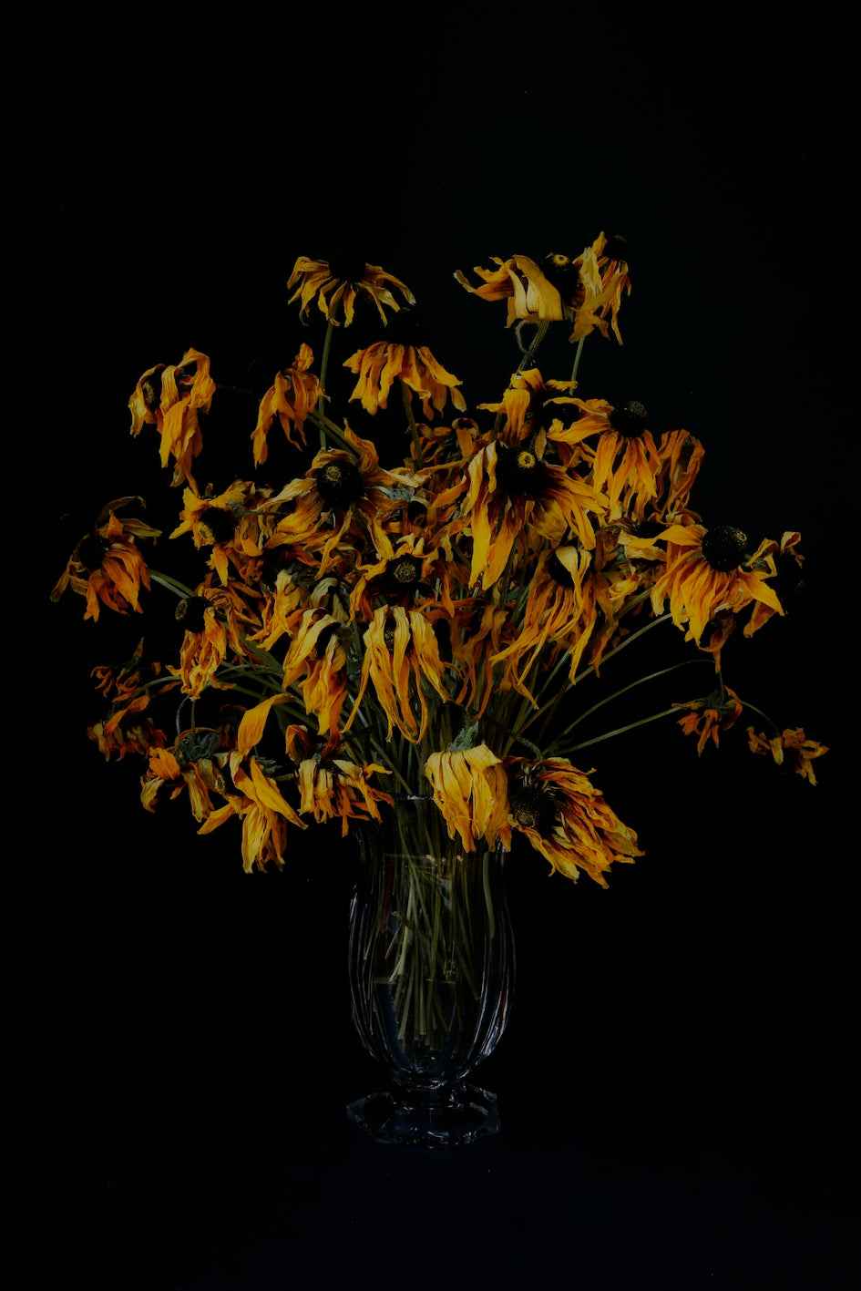 Rudbekie w melancholijnym bukiecie.