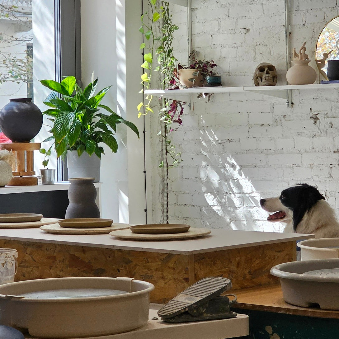 Ceramika w kadrze - Alike Pottery Studio