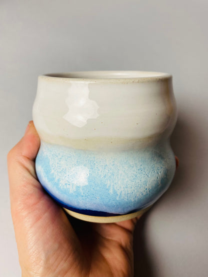 Czarka falowana letnie wakacje nr 1