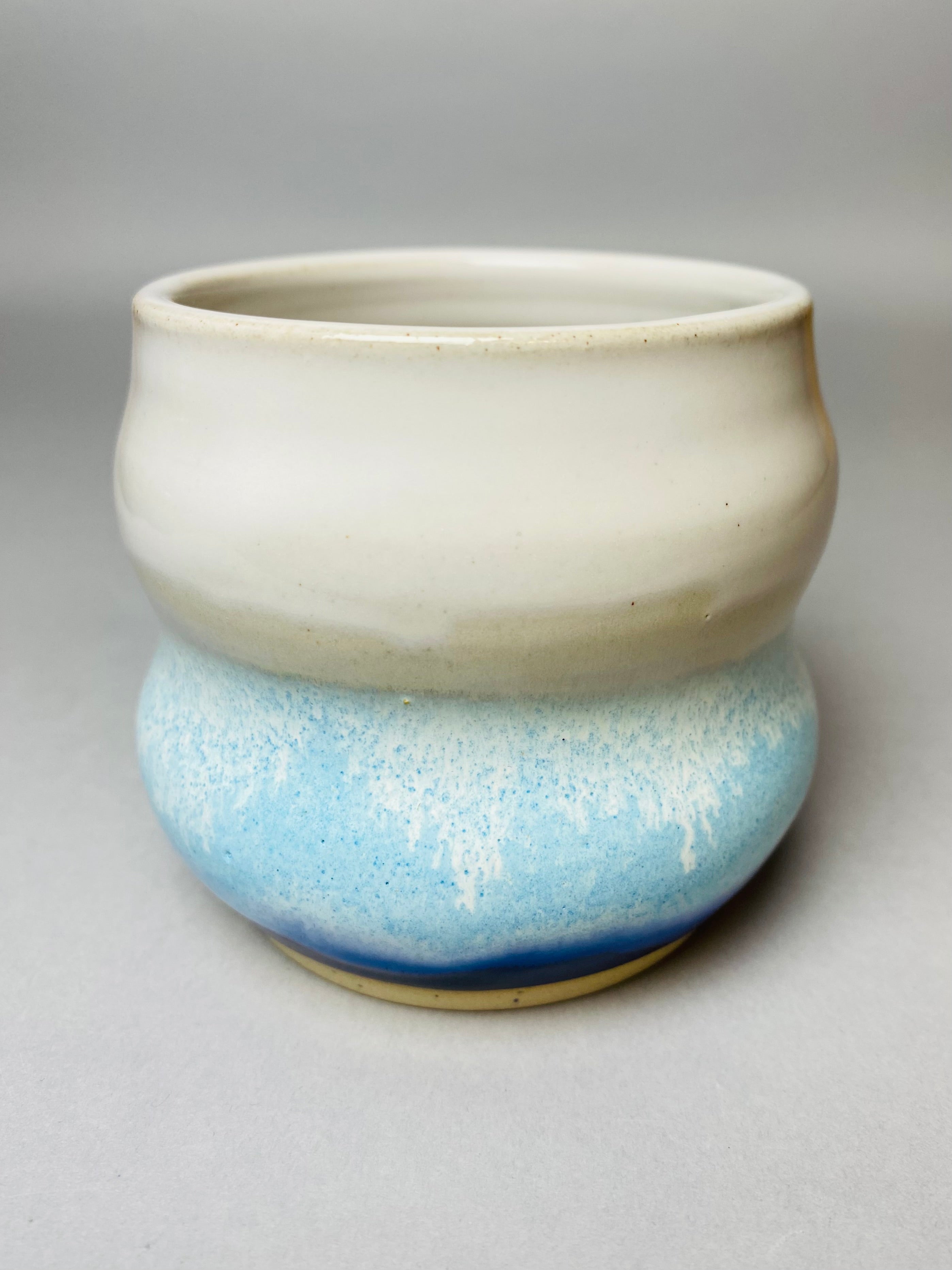 Czarka falowana letnie wakacje nr 1