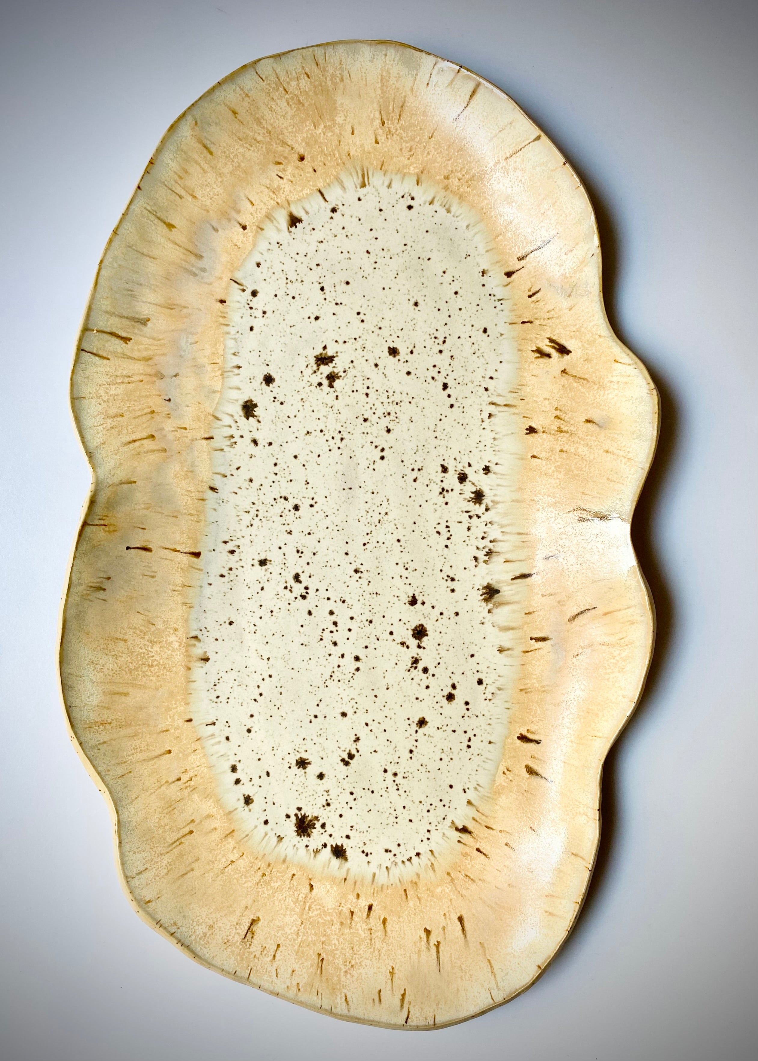 Patera duża w barwach lata