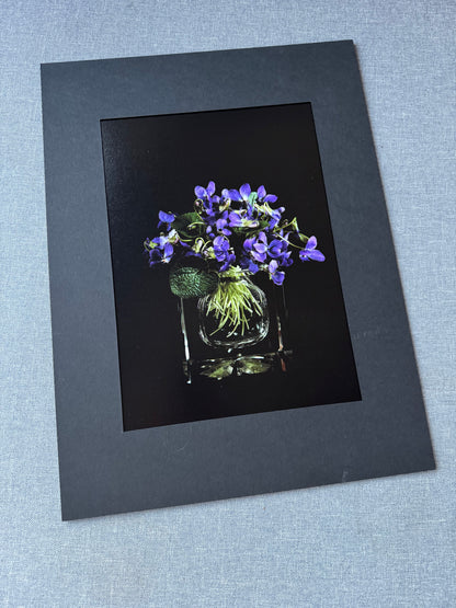 Fiołki w kryształowym kałamarzu