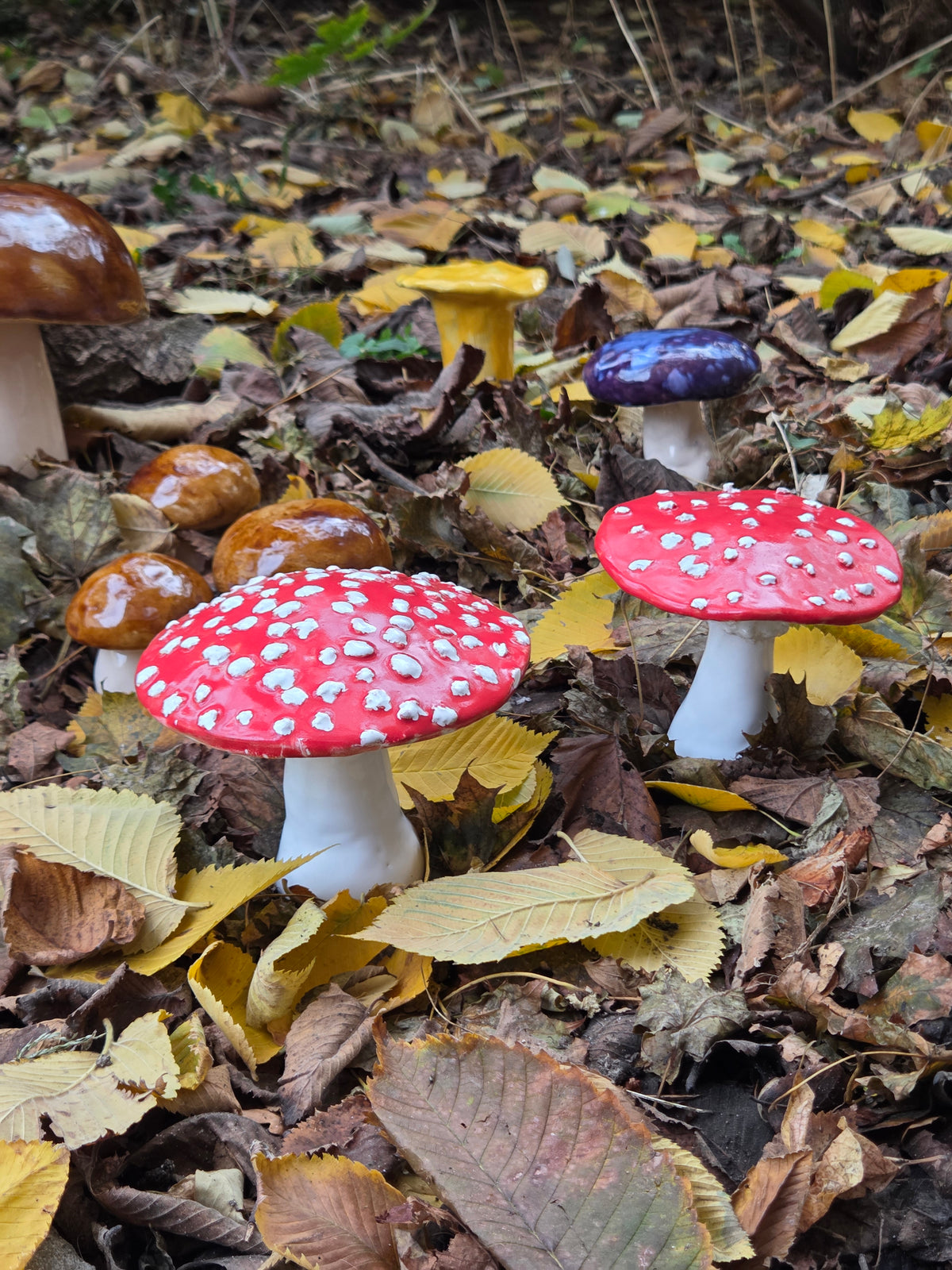 Leśne Trujaki - kolorowe ozdobne muchomory