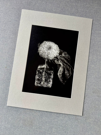 Słonecznik w wazonie biało-czarny - Alike Pottery Studio