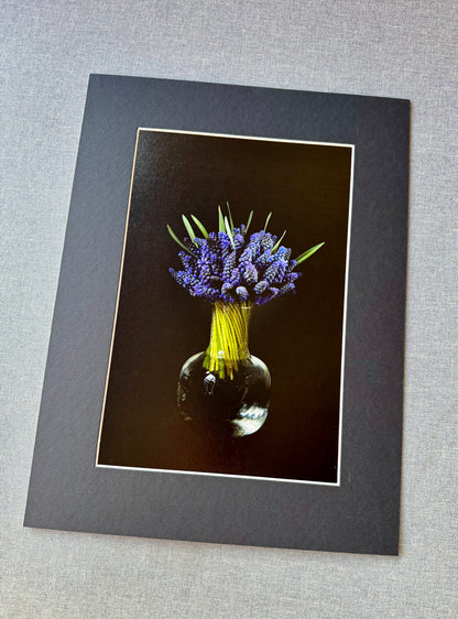 Szafirki w kryształowym wazonie