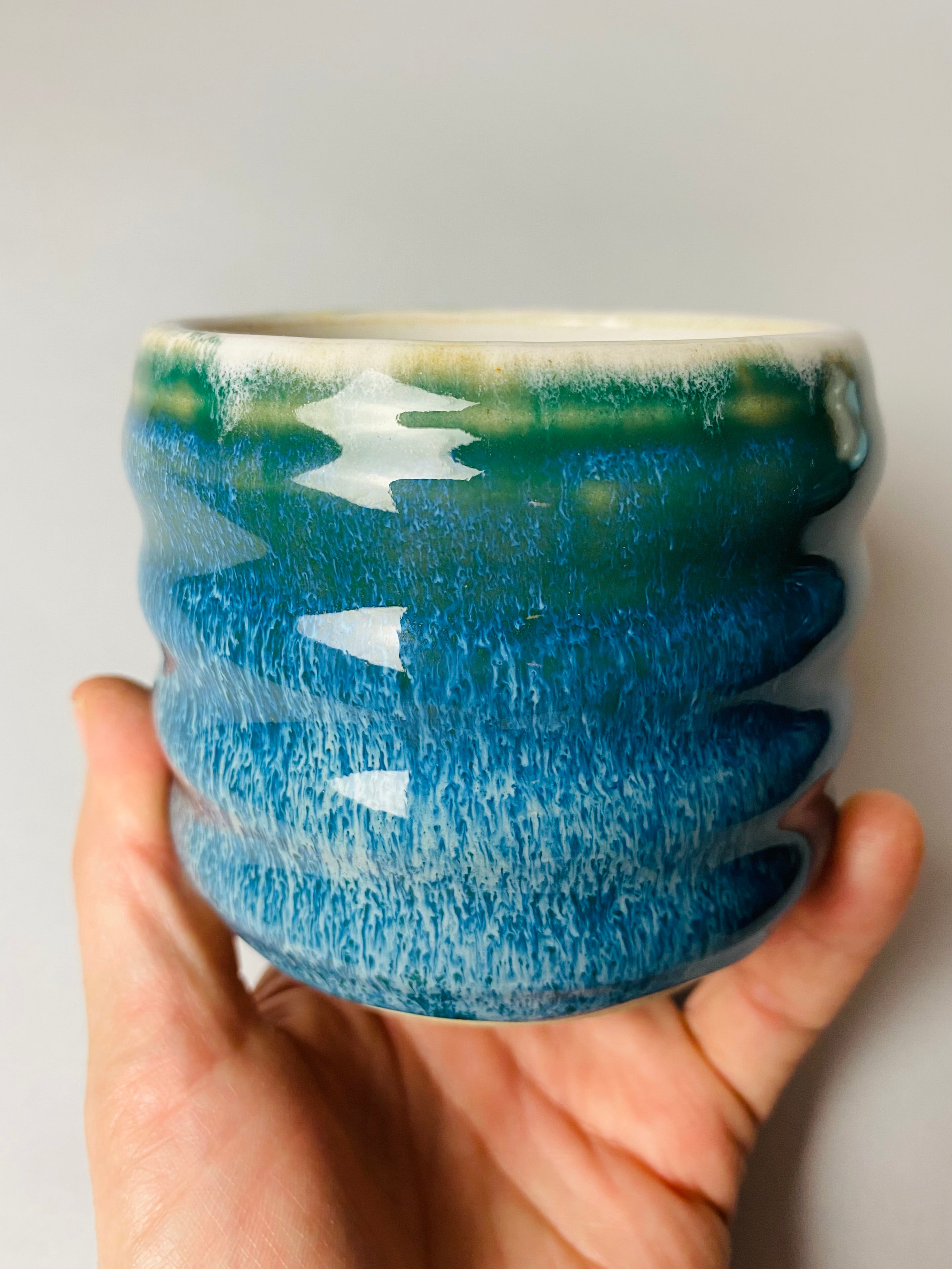 Czarka falowana letnie wakacje nr 2