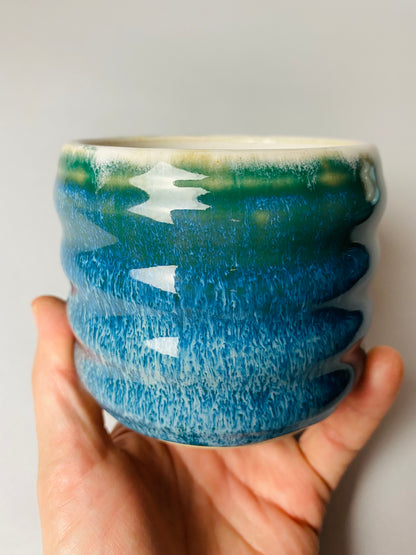 Czarka falowana letnie wakacje nr 2