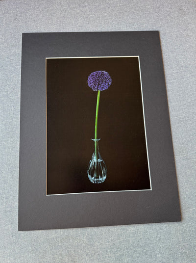 Kwiat czosnku ozdobnego w kryształowym wazonie - Alike Pottery Studio