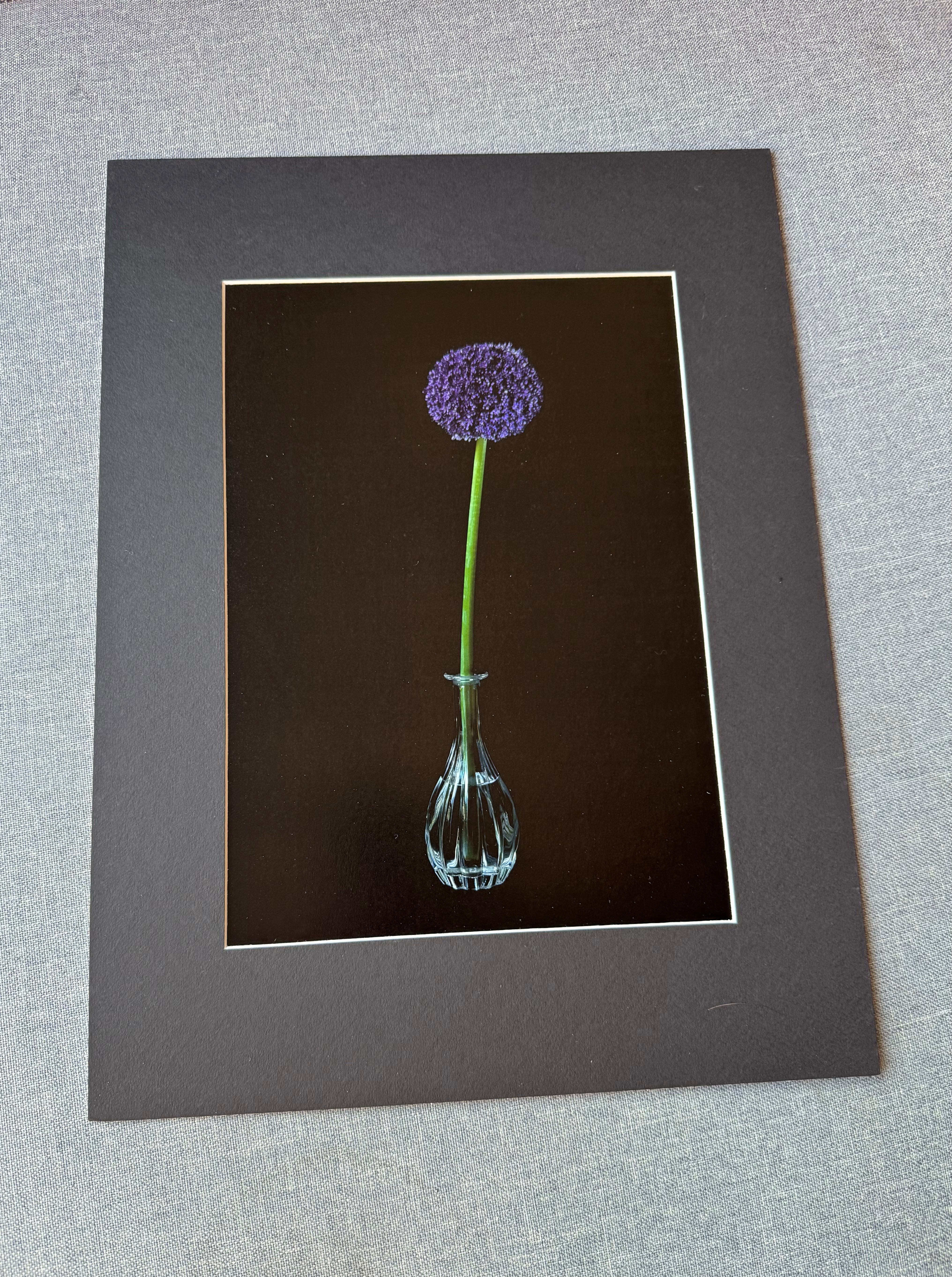 Kwiat czosnku ozdobnego w kryształowym wazonie