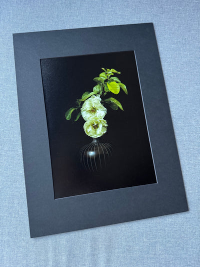 Gałązka kwitnącego pigwowca w wazonie - Alike Pottery Studio