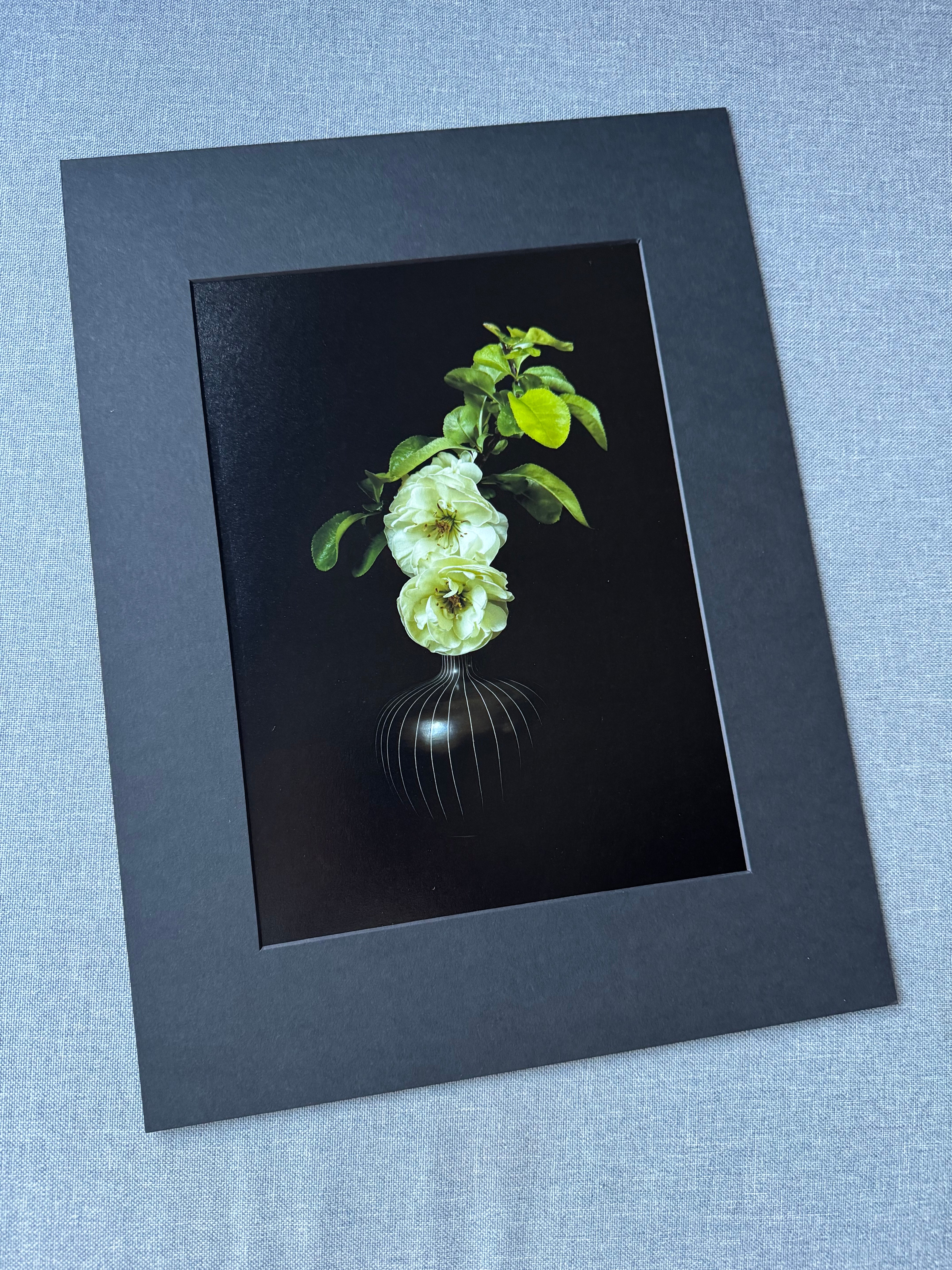 Gałązka kwitnącego pigwowca w wazonie