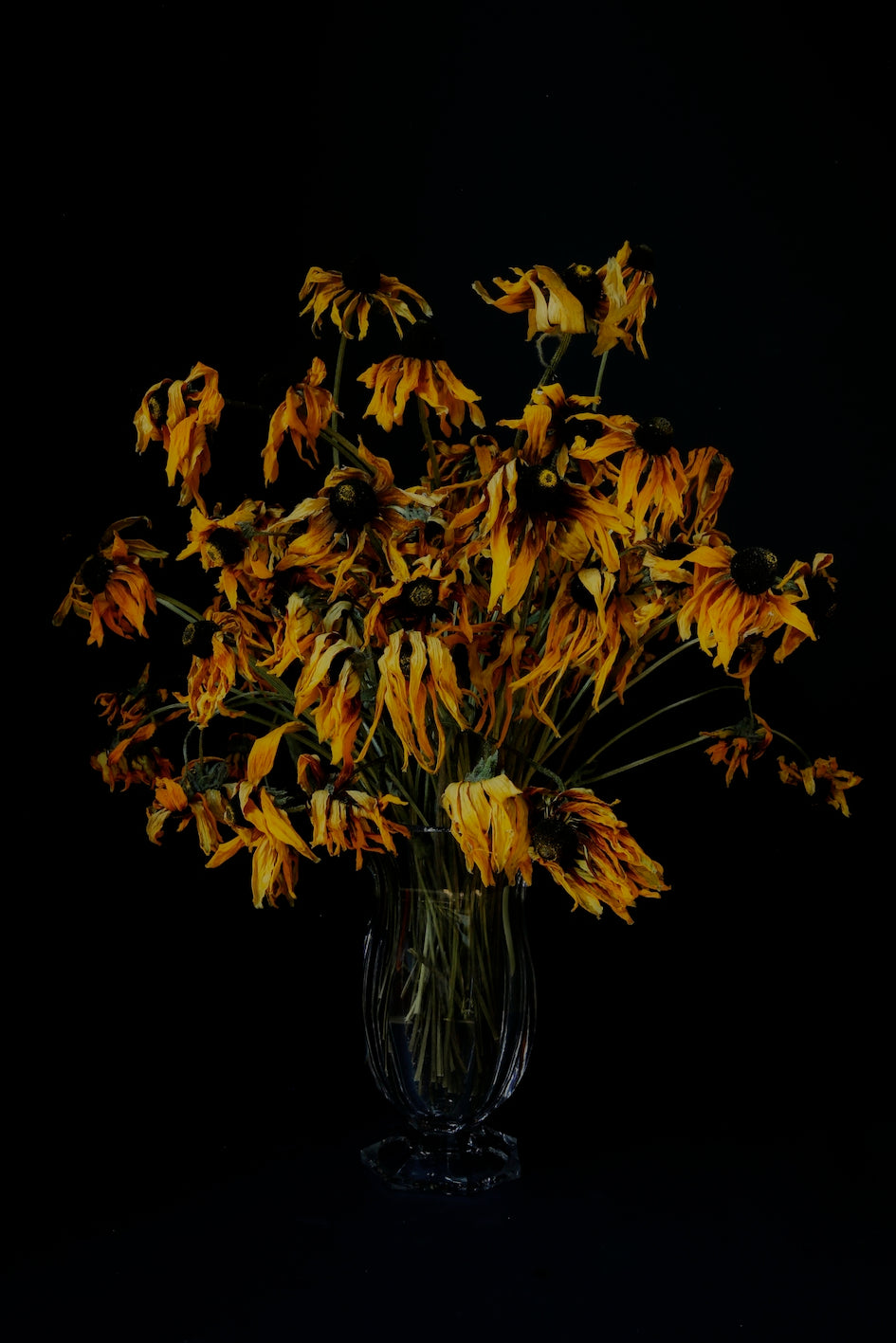 Rudbekie w melancholijnym bukiecie.