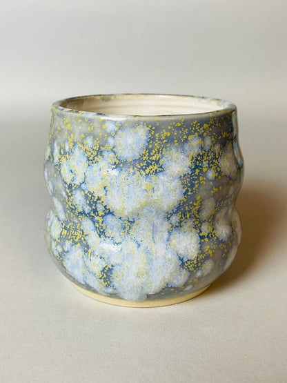 Czarka falowana snow magic