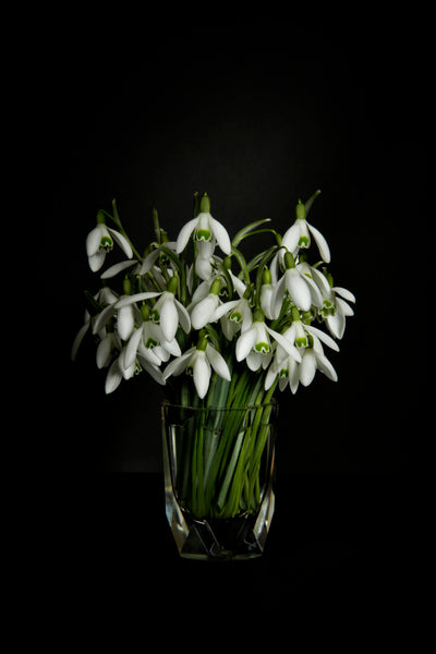 Przebiśniegi w kryształowym wazoniku - Alike Pottery Studio