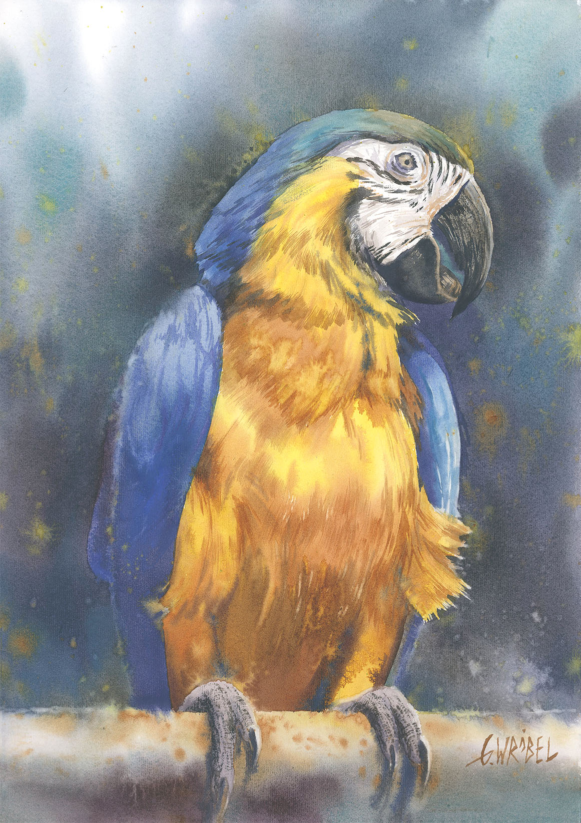 Papuga - Alike Pottery Studio