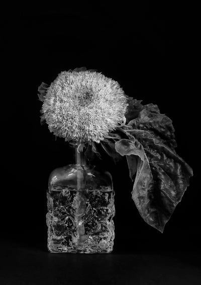 Słonecznik w wazonie biało-czarny - Alike Pottery Studio